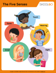 The Five Senses - Free Worksheet for Kids