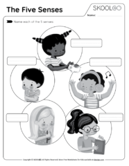 The Five Senses - Free Black and White Worksheet Activity for Kids