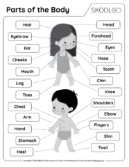 Parts of the Body - Free Black and White Worksheet for Kids