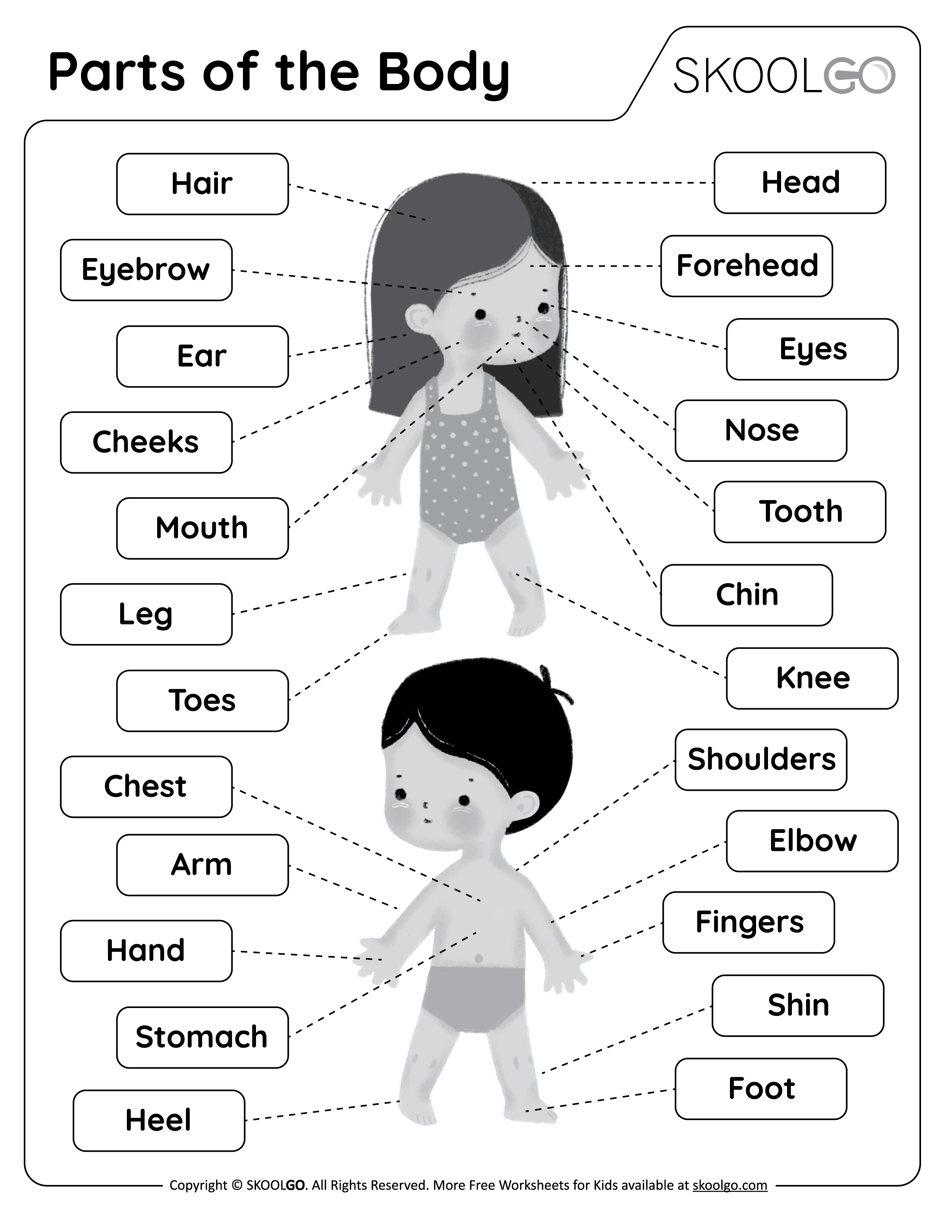 Parts of the Body - Free Black and White Worksheet for Kids
