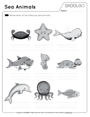 Sea Animals - Free Black and White Worksheet Activity for Kids
