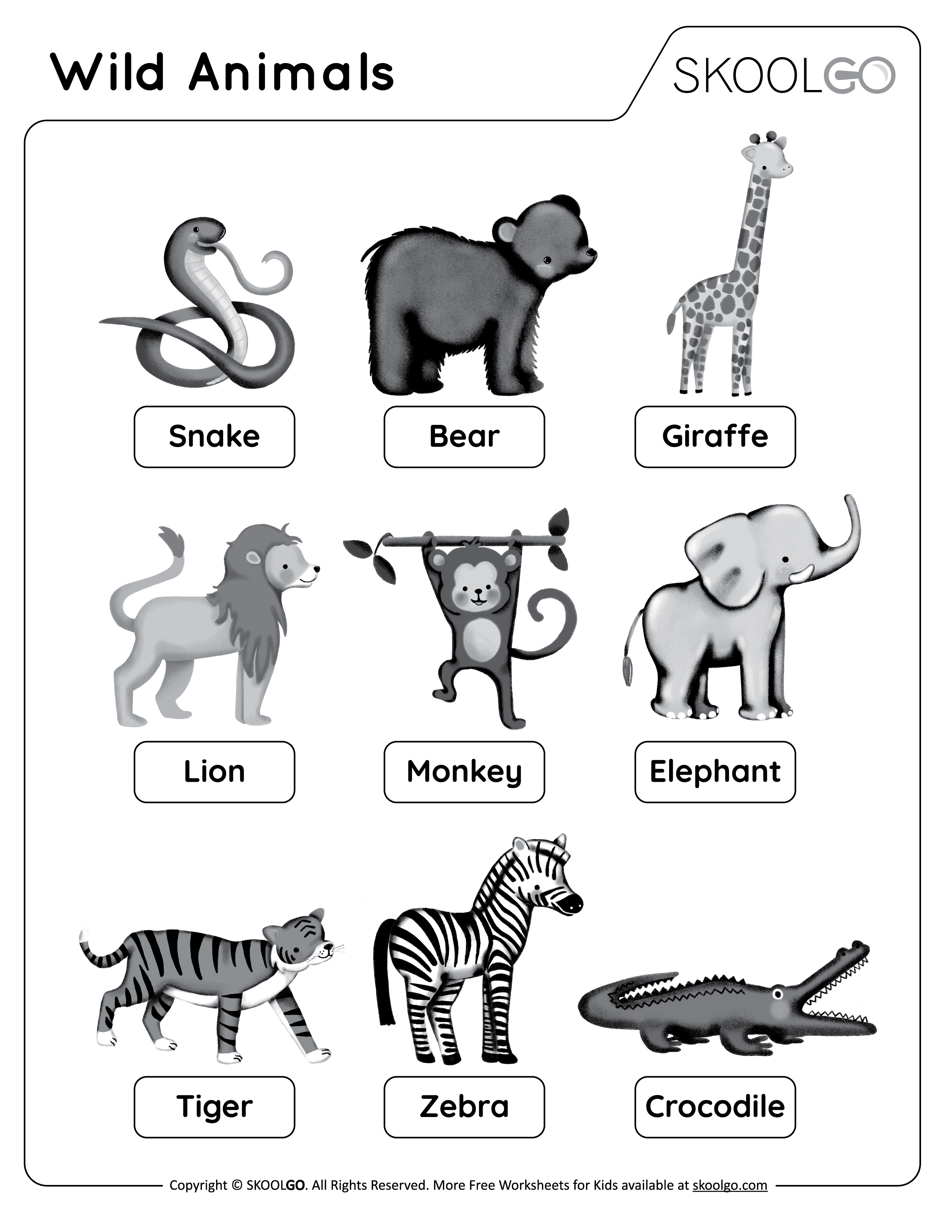 Wild Animals - Free Black and White Worksheet for Kids