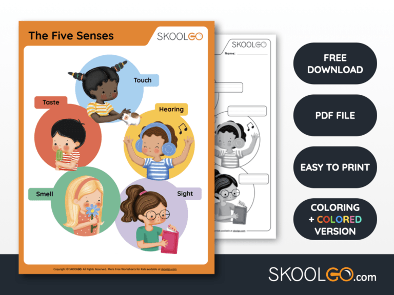 Free Worksheet for Kids - The Five Senses - SKOOLGO