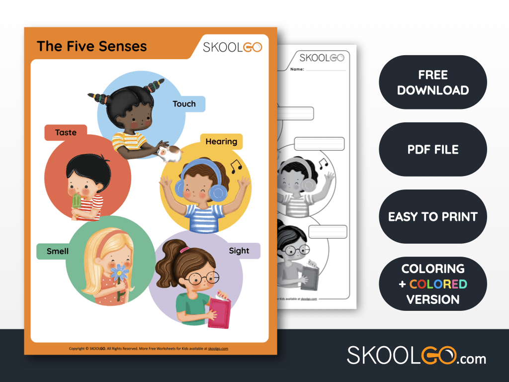 the five senses free worksheet skoolgo