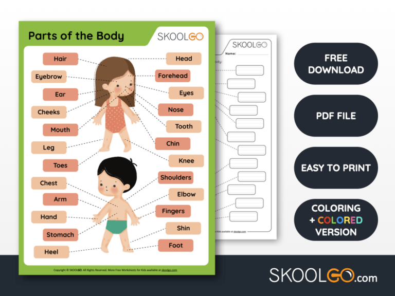 Free Worksheet for Kids - Parts of the Body - SKOOLGO