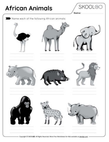 African Animals - Free Worksheet for Kids - Activity