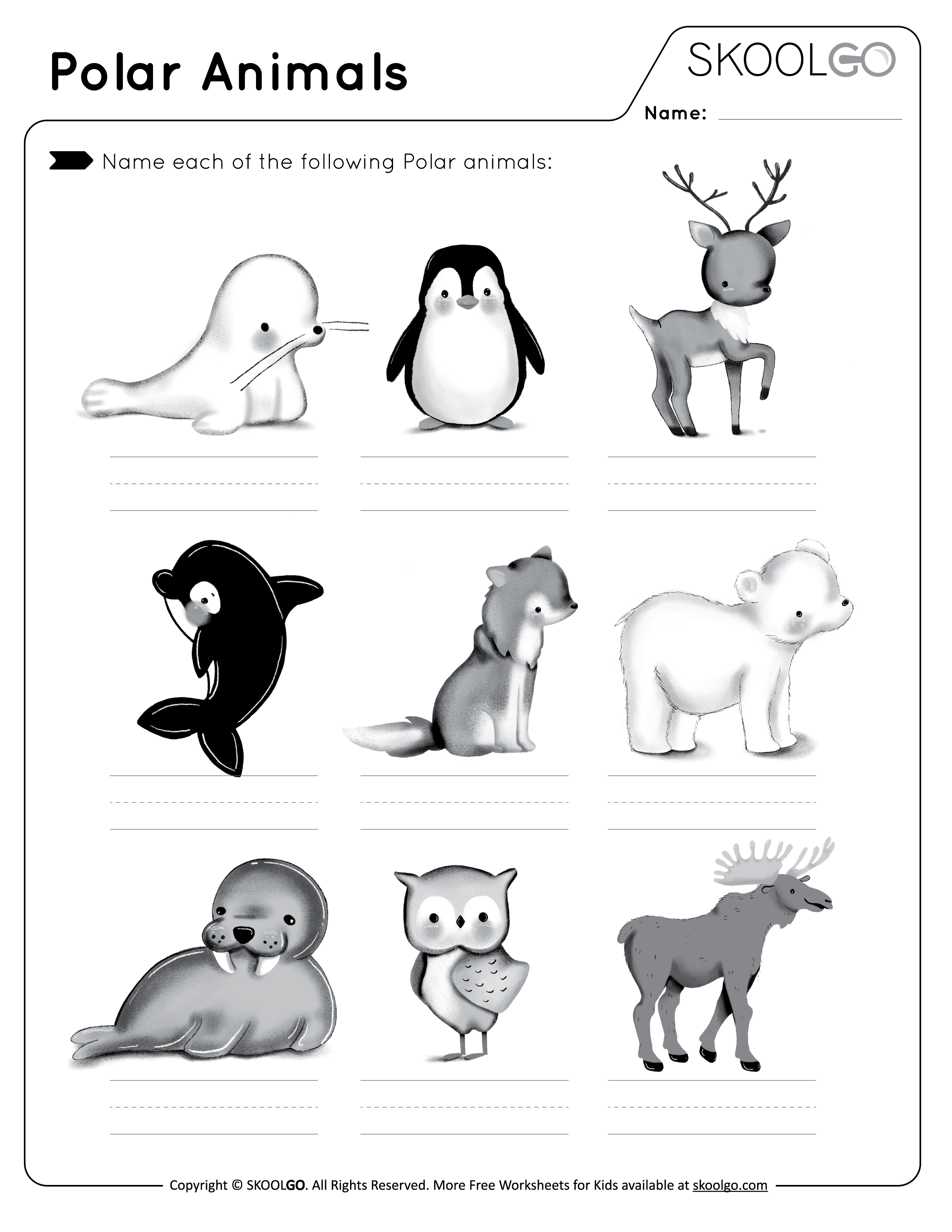 polar-animals-free-worksheet-skoolgo