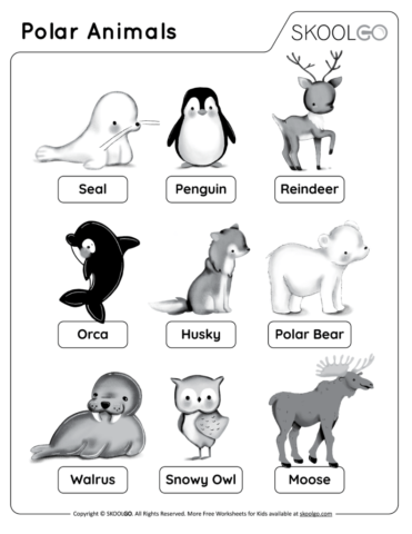 Polar Animals - Free Worksheet for Kids - Black and White