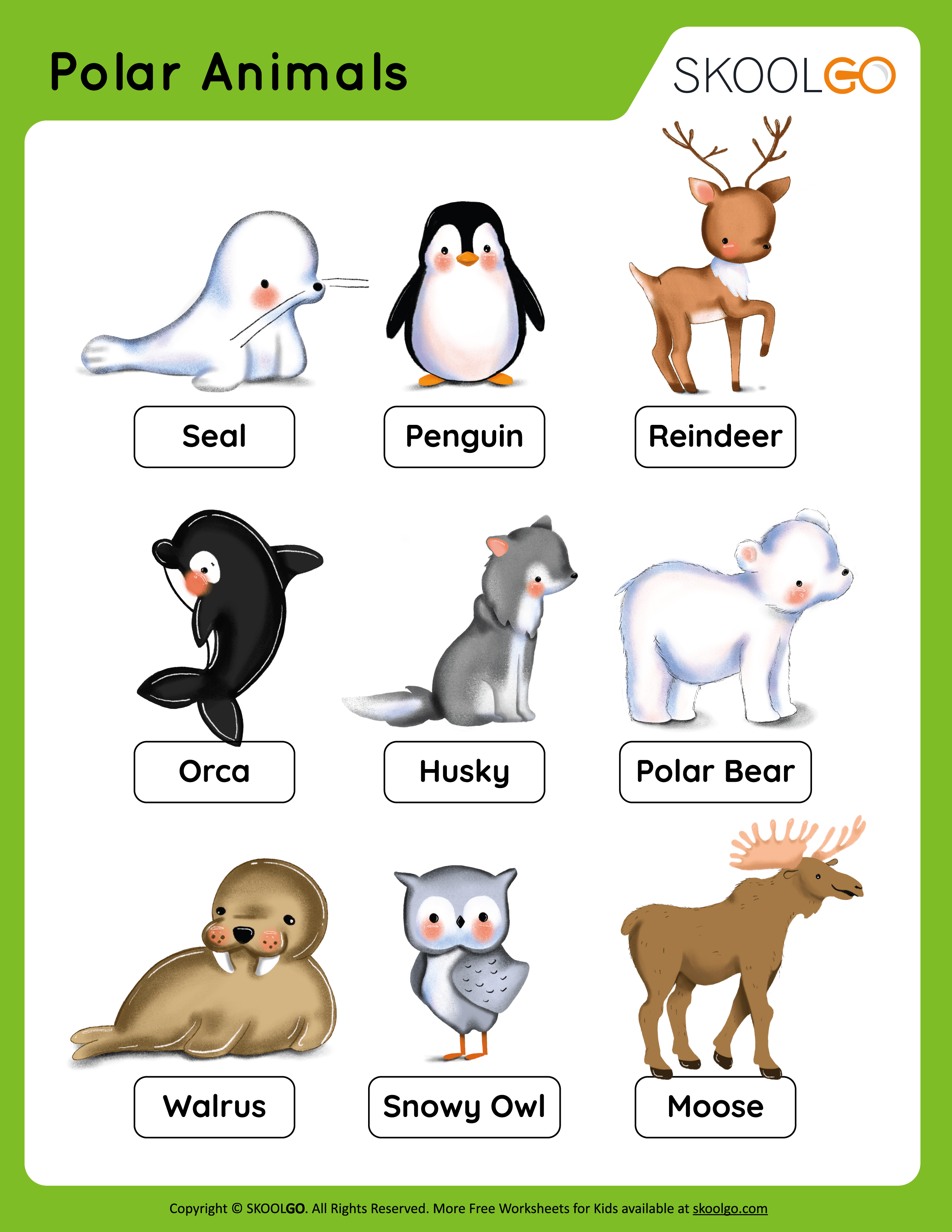 Polar Animals - Free Worksheet for Kids
