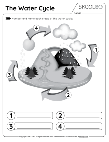 The Water Cycle - Free Worksheet for Kids - Activity