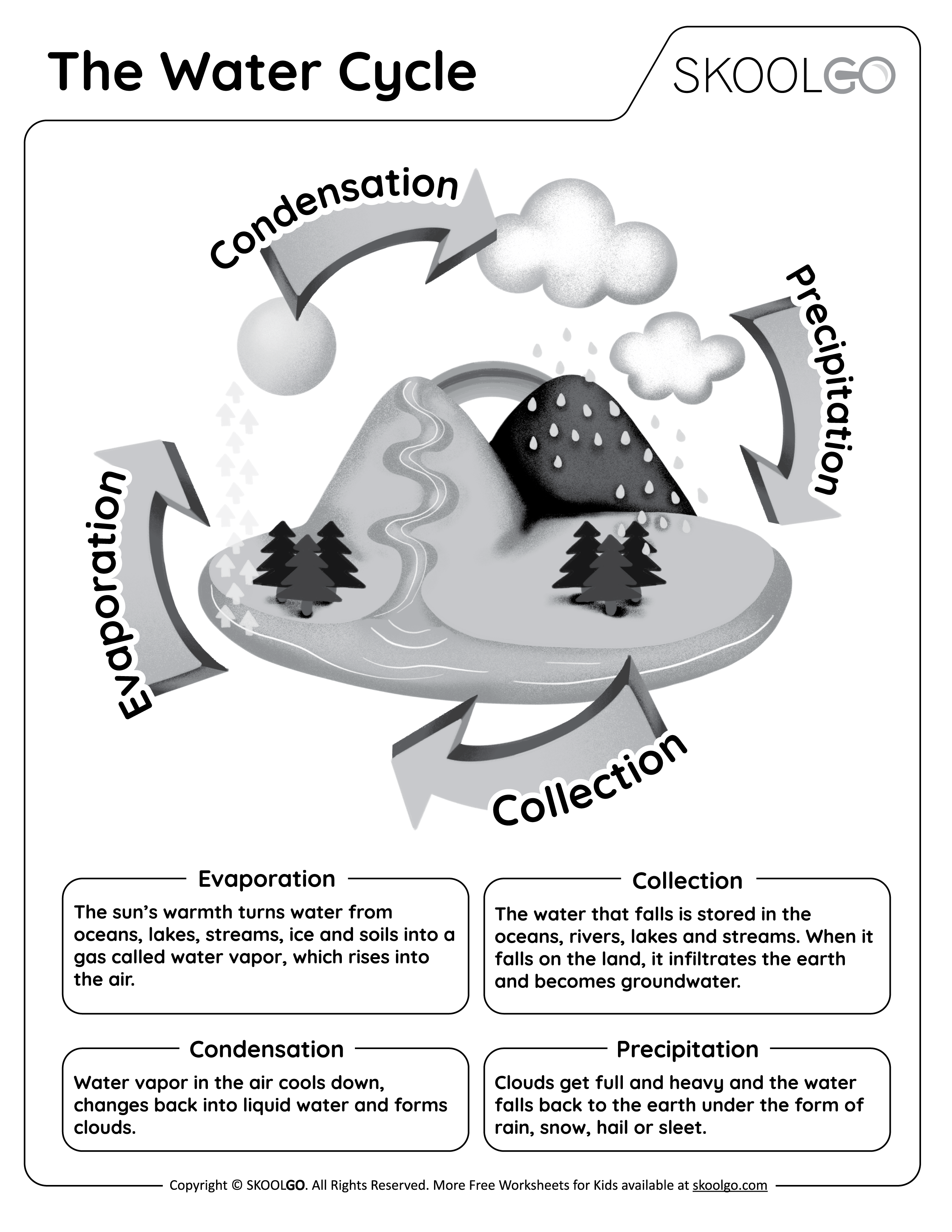 The Water Cycle - Free Worksheet for Kids - Black and White