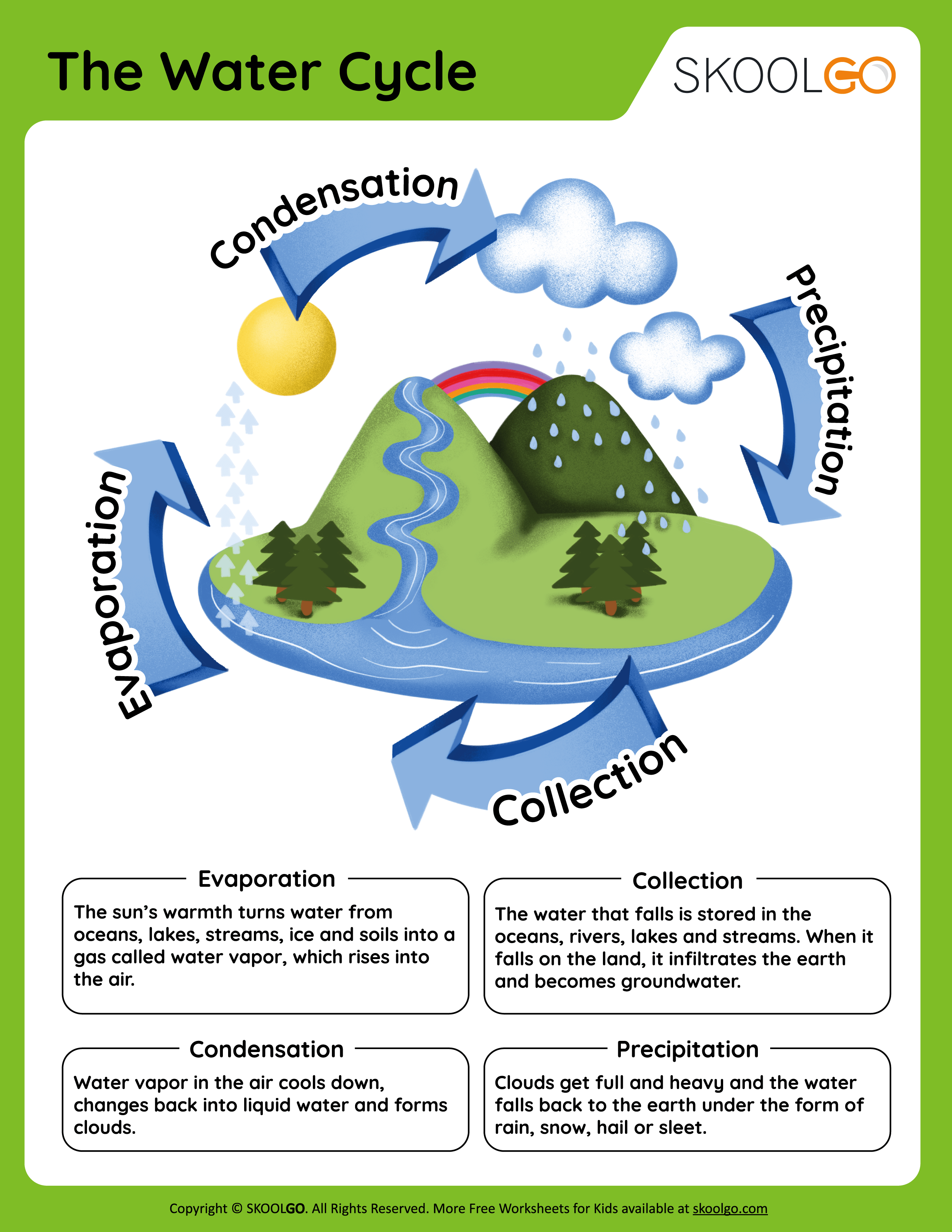 The Water Cycle - Free Worksheet for Kids