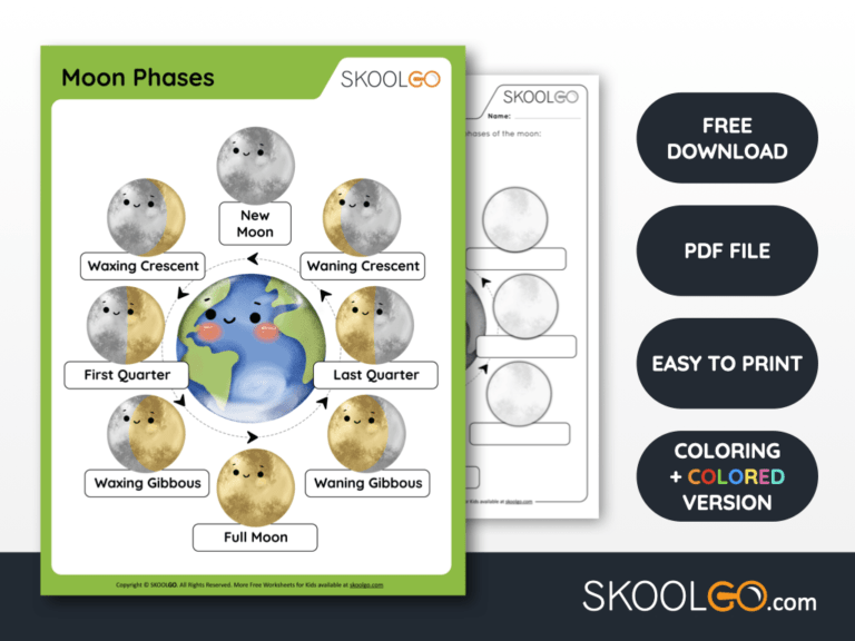 Moon Phases Free Worksheet SKOOLGO