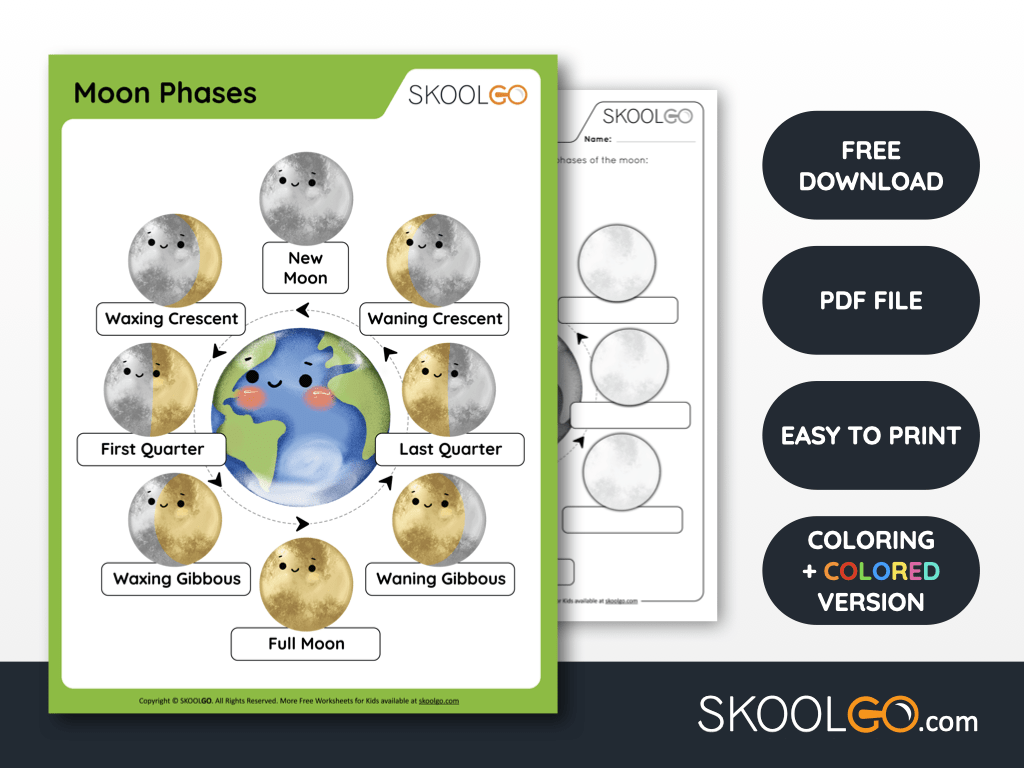Free Worksheet for Kids - Moon Phases - SKOOLGO