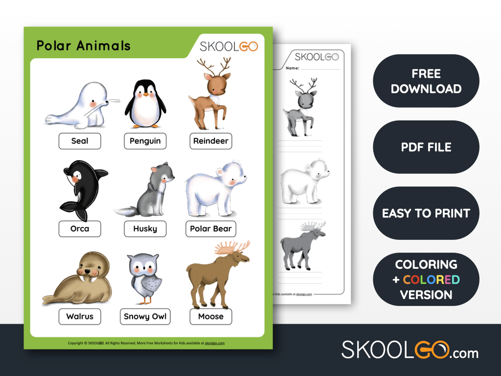 Free Worksheet for Kids - Polar Animals - SKOOLGO