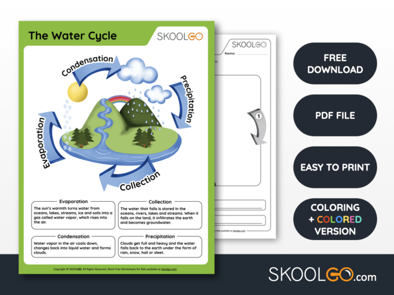 Free Worksheet for Kids - The Water Cycle - SKOOLGO